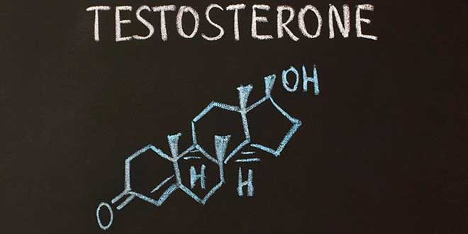 testosterona