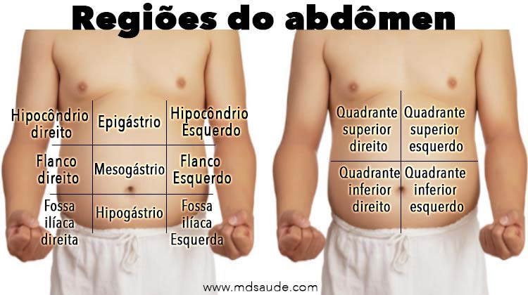 regioes abdominais